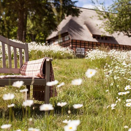 Park Am See X Nattika Ayurveda, Hotel Health Spirit Penzlin Экстерьер фото