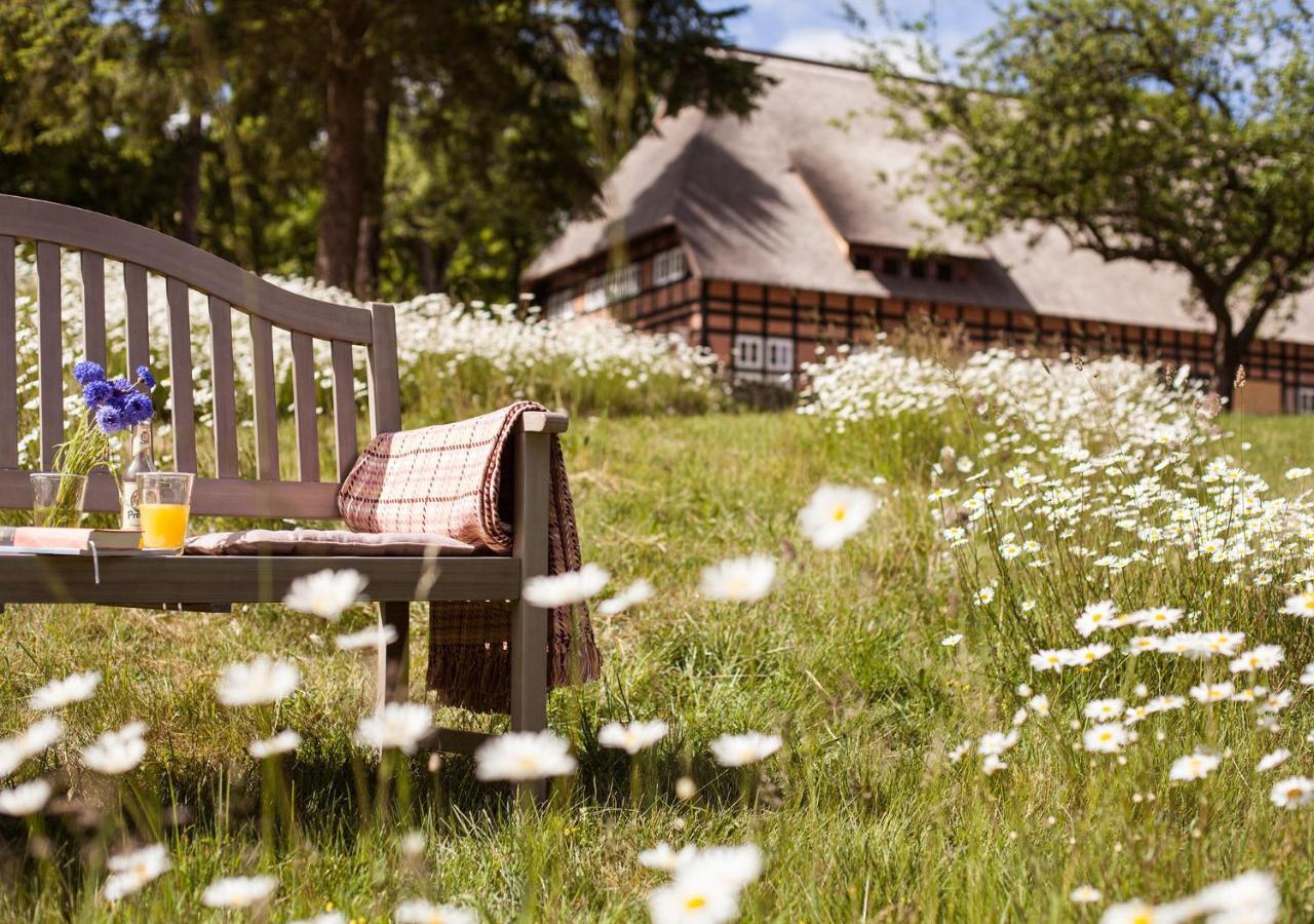 Park Am See X Nattika Ayurveda, Hotel Health Spirit Penzlin Экстерьер фото