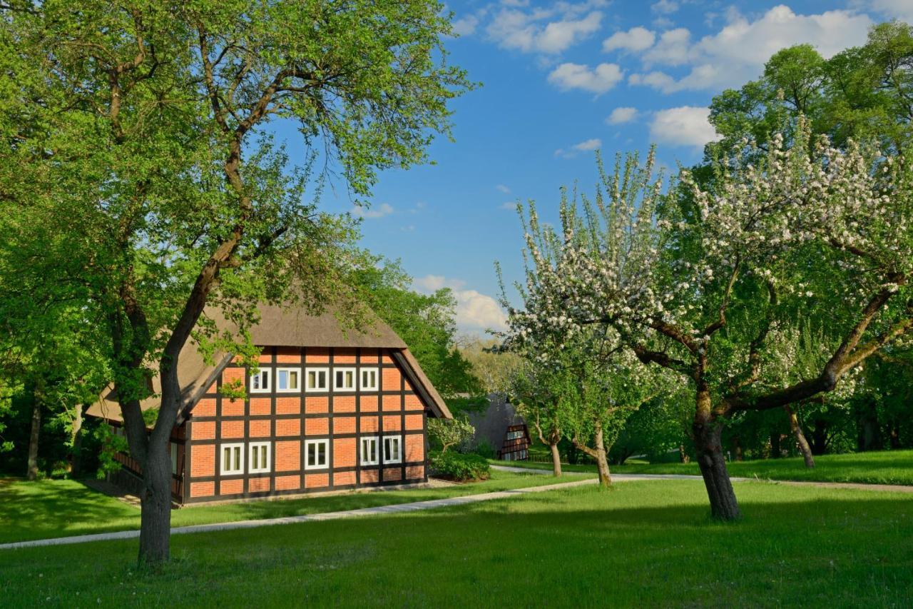 Park Am See X Nattika Ayurveda, Hotel Health Spirit Penzlin Экстерьер фото