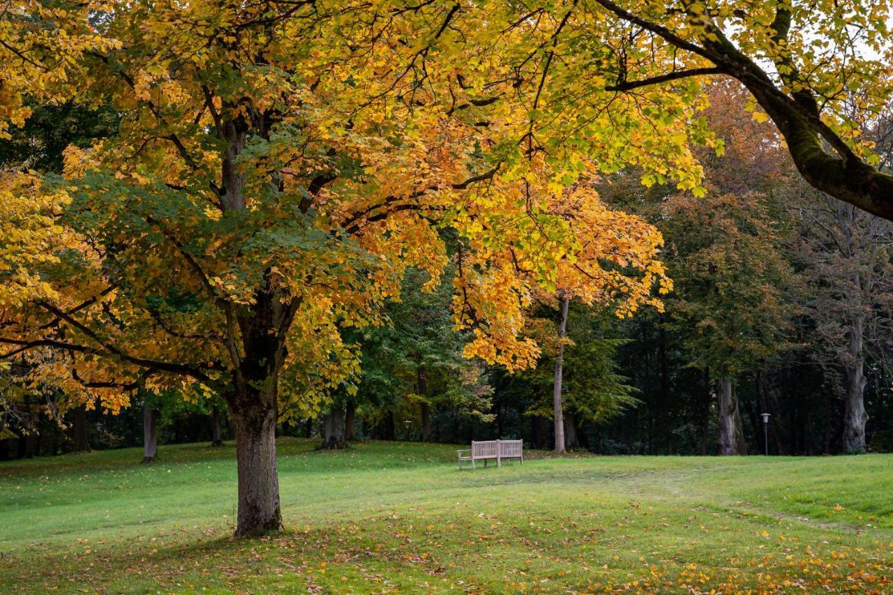 Park Am See X Nattika Ayurveda, Hotel Health Spirit Penzlin Экстерьер фото